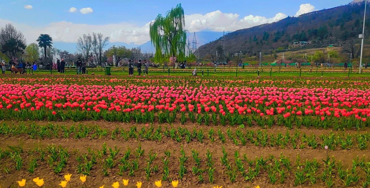 Beautiful Kashmir mountains and valleys